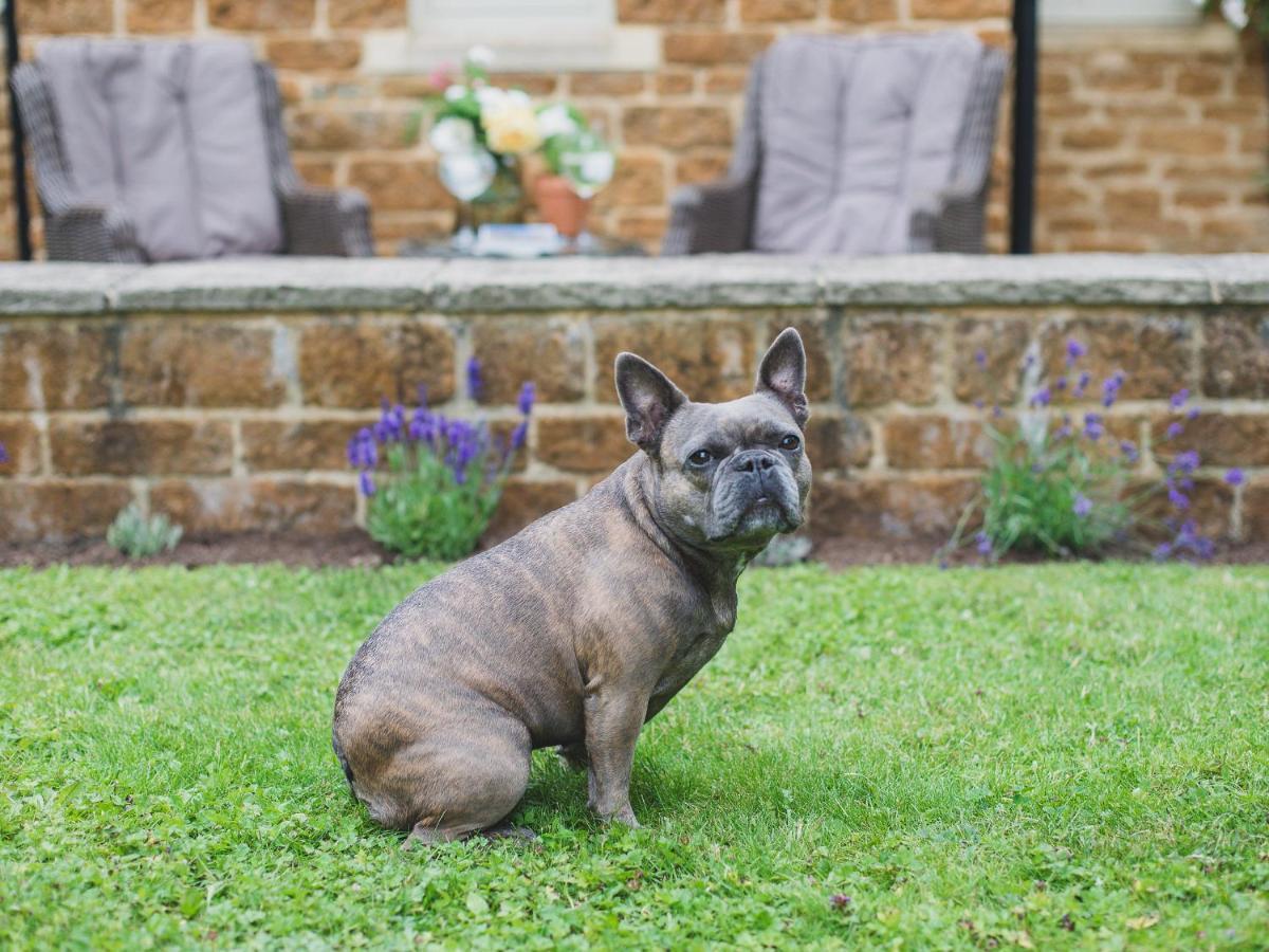 Climbing Rose Cottage - Dog Friendly - Peaceful Cotswold Cottage Adlestrop 外观 照片